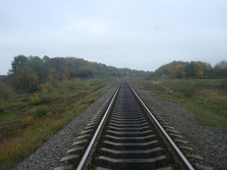 Буйволівці з panoramio.com - Буйволовцы