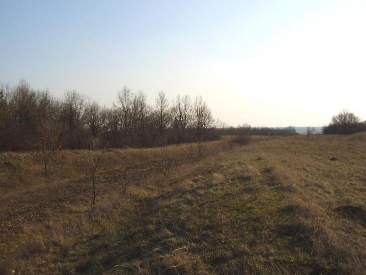 Фрунзе з panoramio.com - Фрунзе