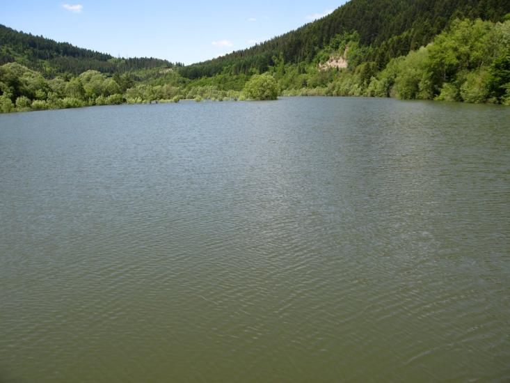 Явора з panoramio.com - Явора