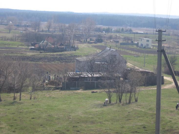 Циркуни з panoramio.com - Циркуны