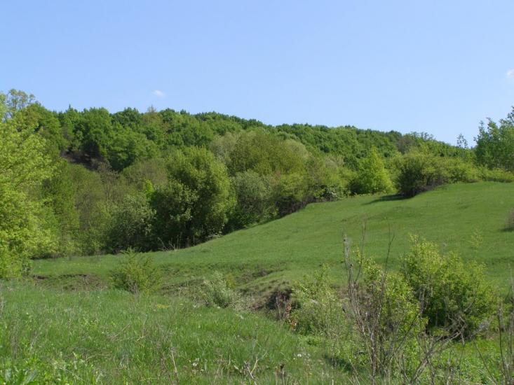 Черкасівка з panoramio.com - Cherkasivka