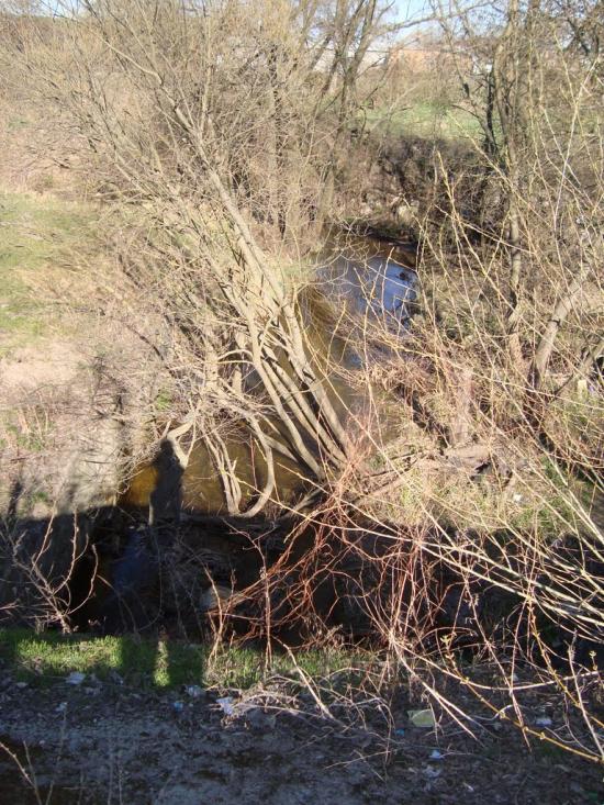 Мала Солтанівка з panoramio.com - Мала Солтанівка