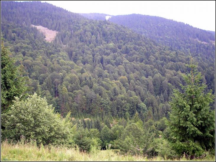 Загорб з panoramio.com - Загорб