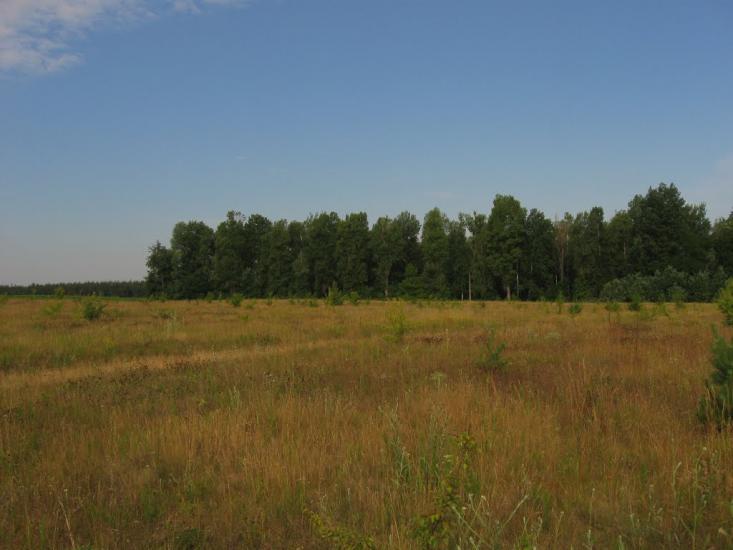 Семирічка з panoramio.com - Семиречка