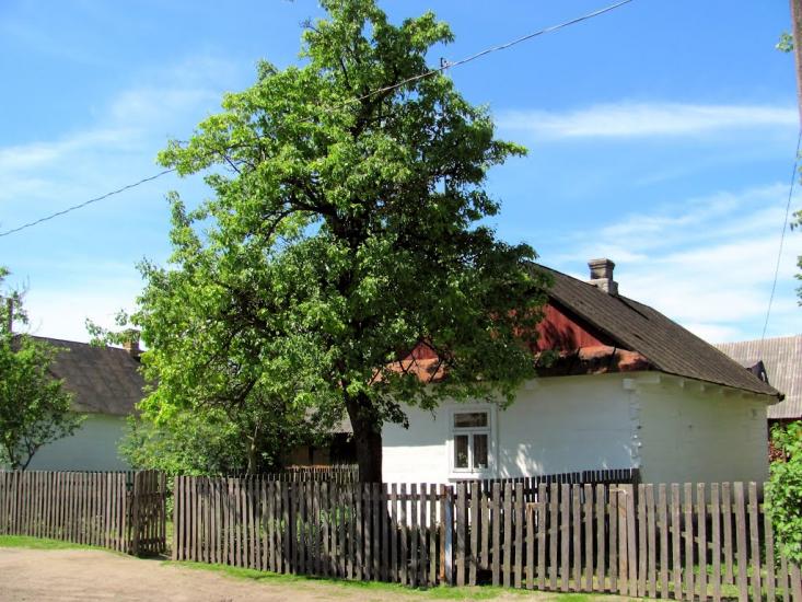 Сокіл з panoramio.com - Сокол