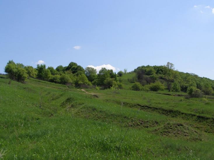 Черкасівка з panoramio.com - Cherkasivka