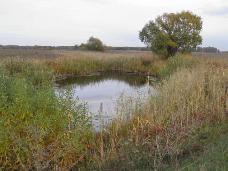 Єньків з panoramio.com - Еньков