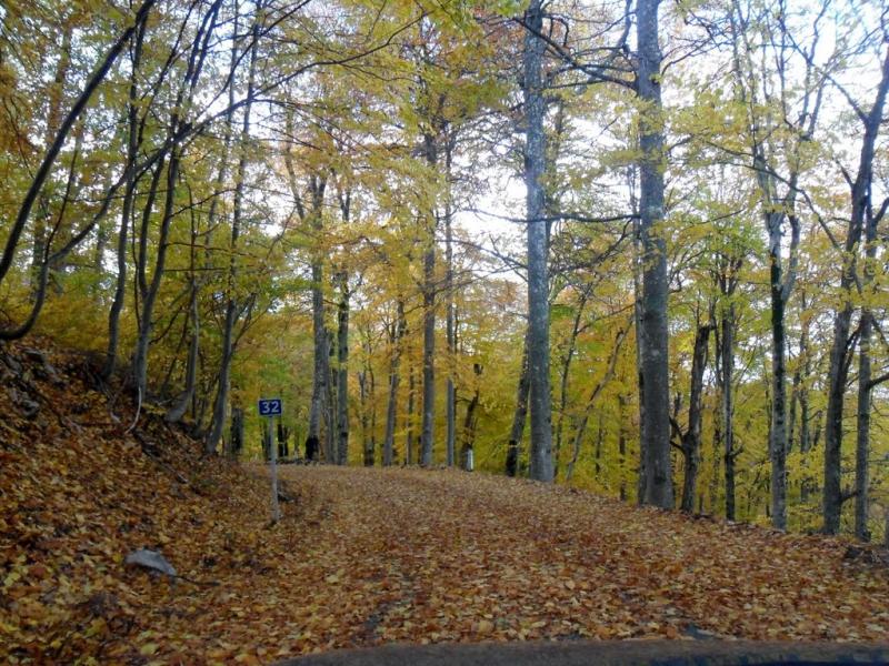 Підгородне з panoramio.com - Подгороднее