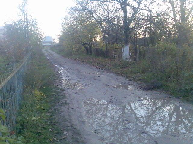 Велика Березовиця з panoramio.com - Велика Березовиця