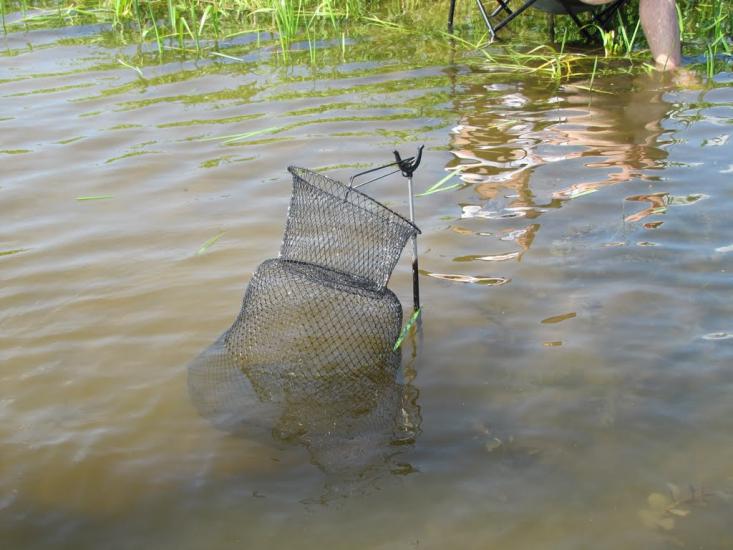 Заріччя з panoramio.com - Заріччя