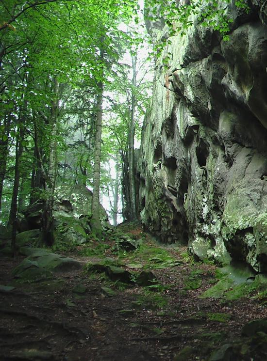 Малий Рожин з panoramio.com - Malyy Rozhyn