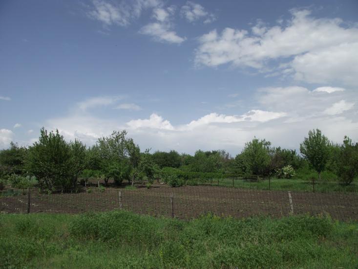 Ананьївка з panoramio.com - Ананьевка
