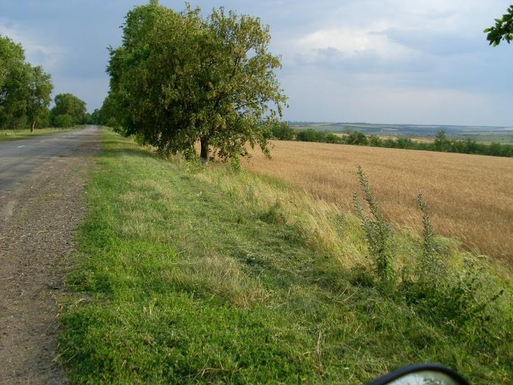 Доманівка з panoramio.com - Доманевка