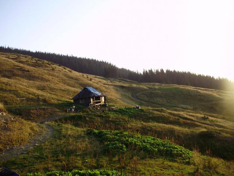 Явірник з panoramio.com - Яворник
