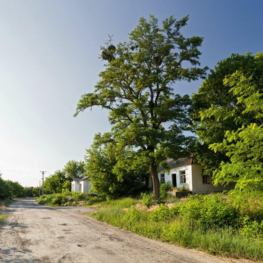 Бобриця з panoramio.com - Бобрица