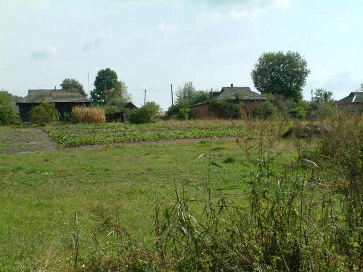 Рижики з panoramio.com - Рижики