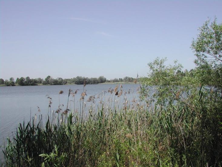 Курортне з panoramio.com - Курортное
