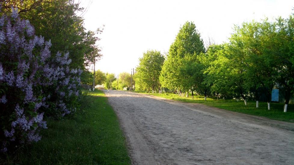 Добра з panoramio.com - Добрая