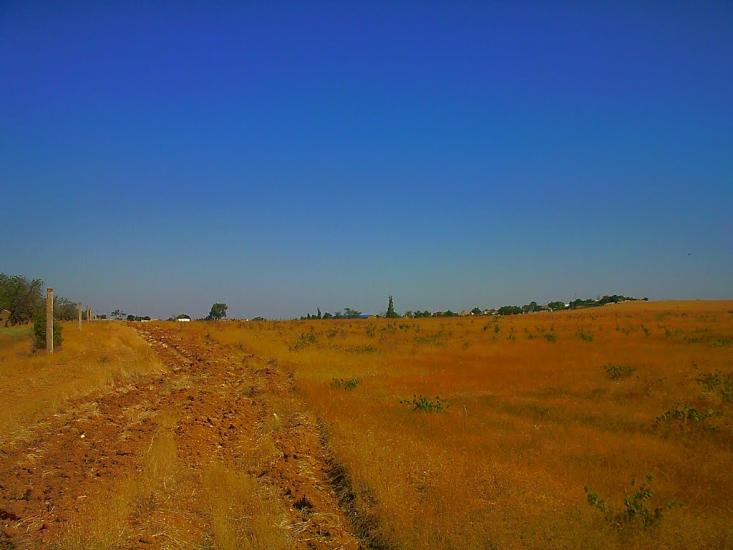 Берегове з panoramio.com - Берегово