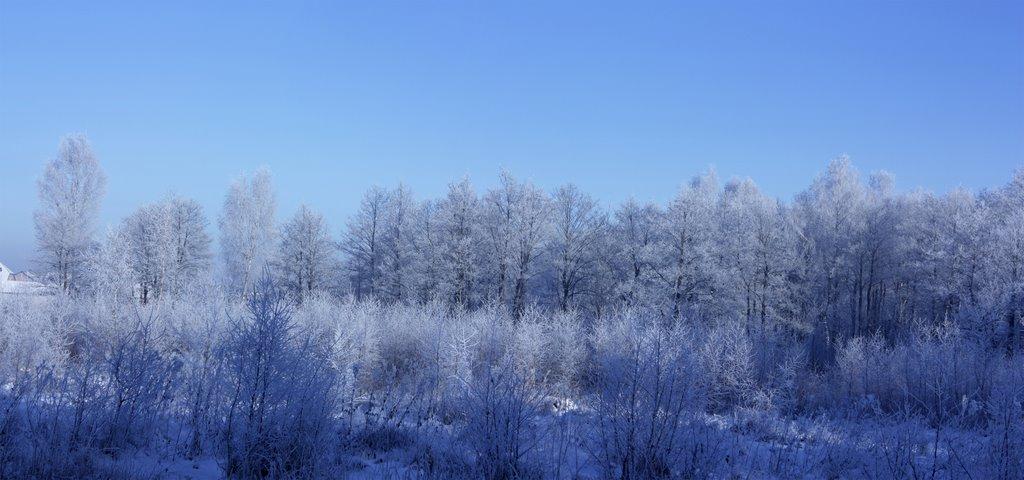 Суховоля з panoramio.com - Sukhovolya