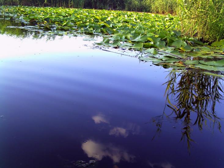 Гур'ївка з panoramio.com - Гурьевка