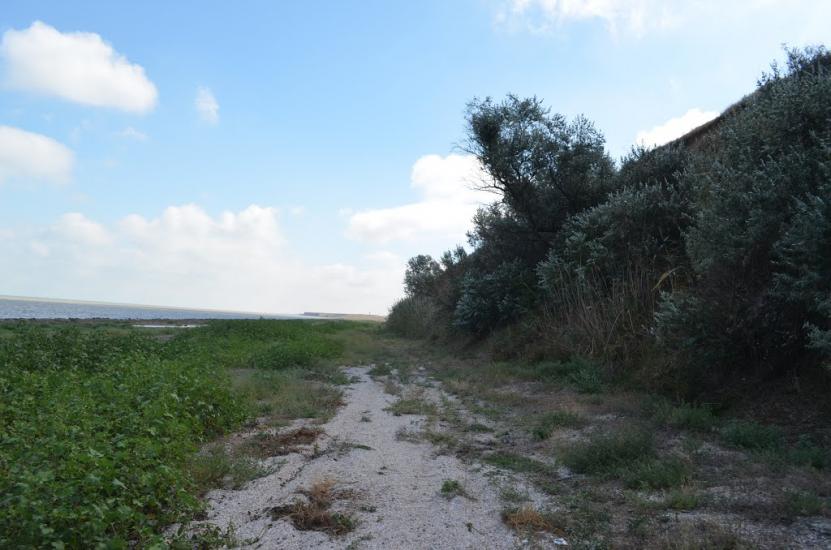 Стерегуще з panoramio.com - Стерегущее