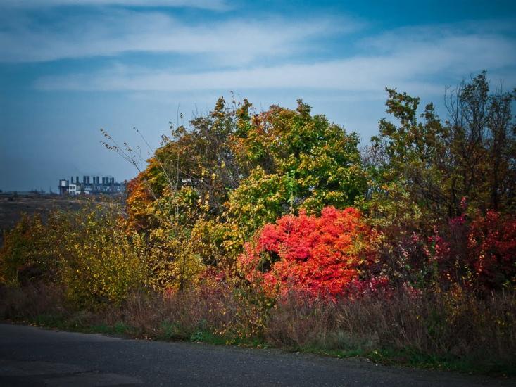 Алмазна з panoramio.com - Алмазная