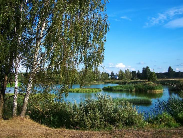 Мекшунівка з panoramio.com - Мекшунівка