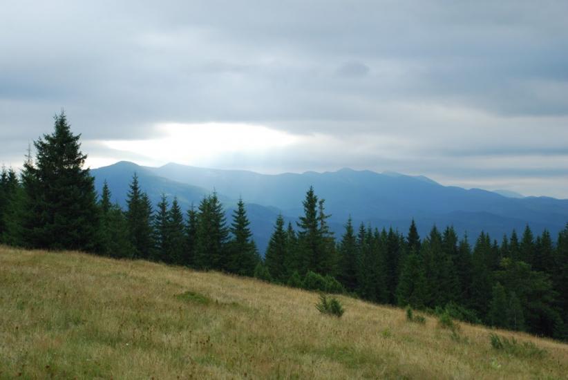 Згари з panoramio.com - Згари