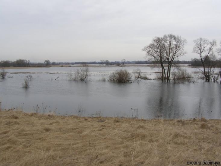 Литовеж з panoramio.com - Литовеж