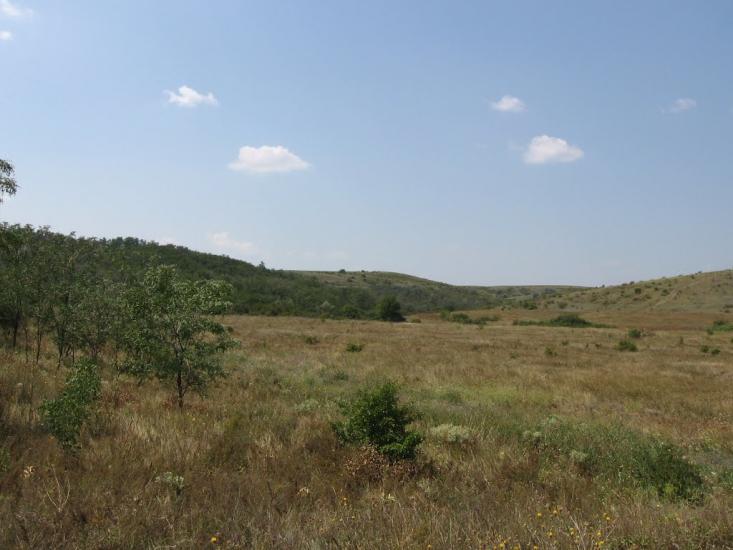 Калинівка з panoramio.com - Калиновка