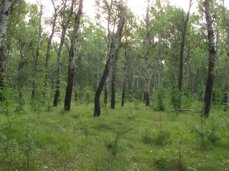 Семирічка з panoramio.com - Семиречка