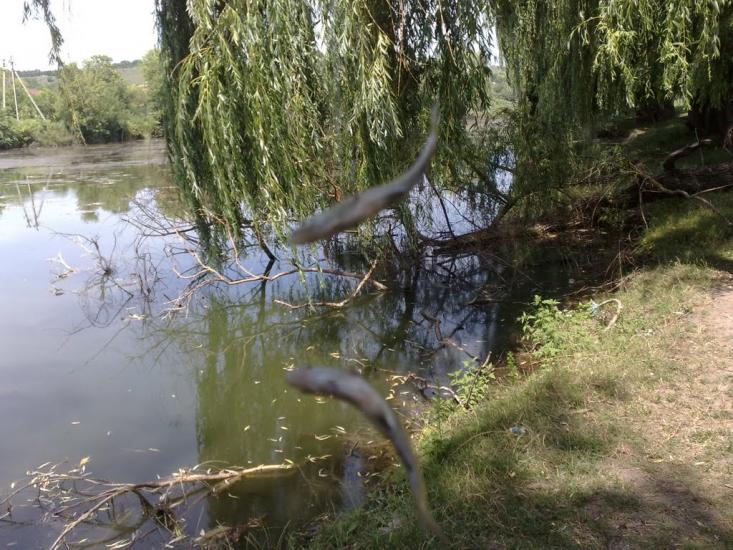 Нігин з panoramio.com - Nigyn