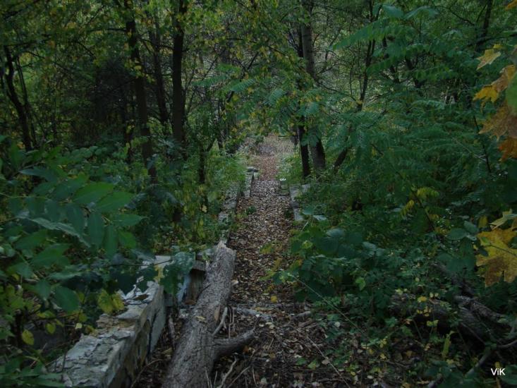 Зайченки з panoramio.com - Зайченки