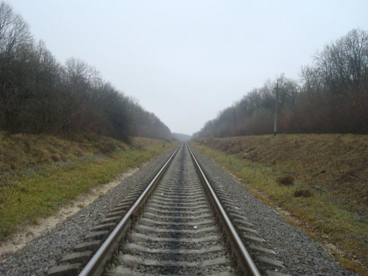 Лошківці з panoramio.com - Лошковцы