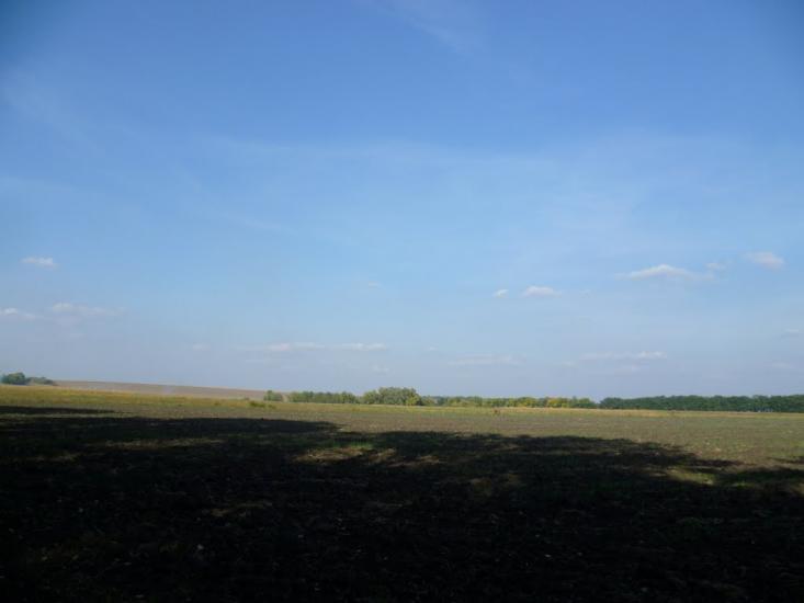 Гоголеве з panoramio.com - Gogoleve