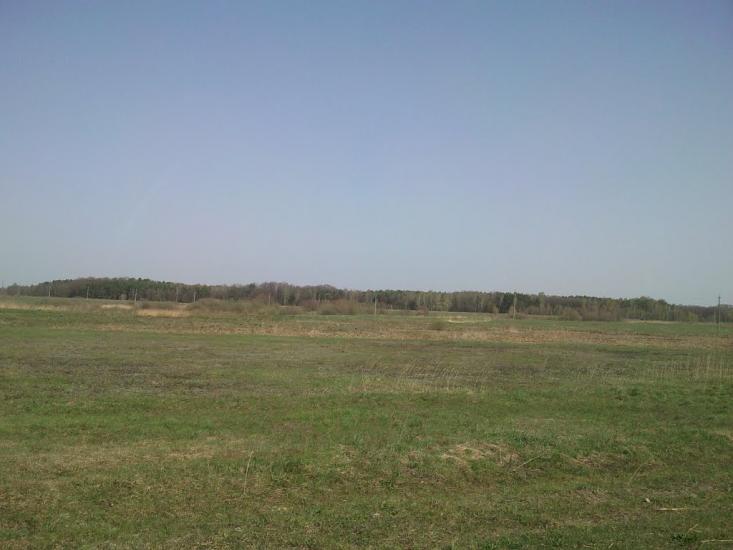 Сокиричі з panoramio.com - Сокиричі