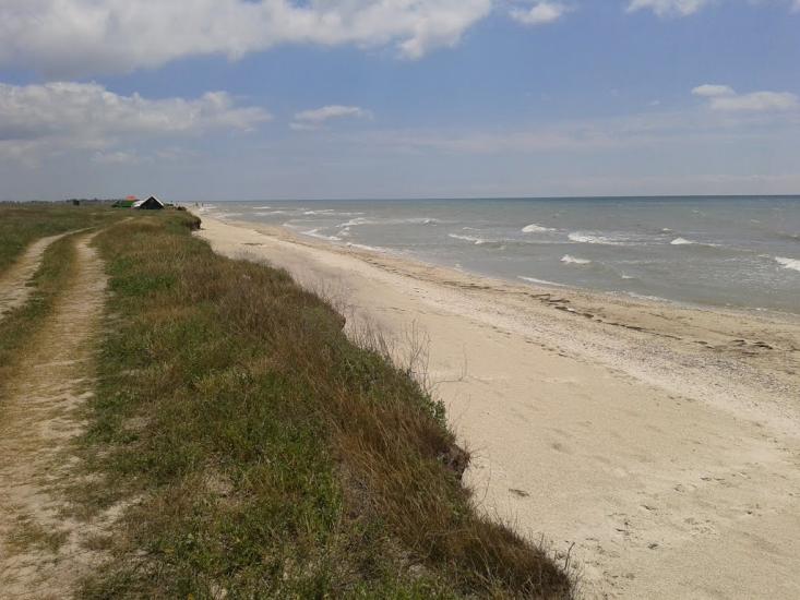 Більшовик з panoramio.com - Большевик