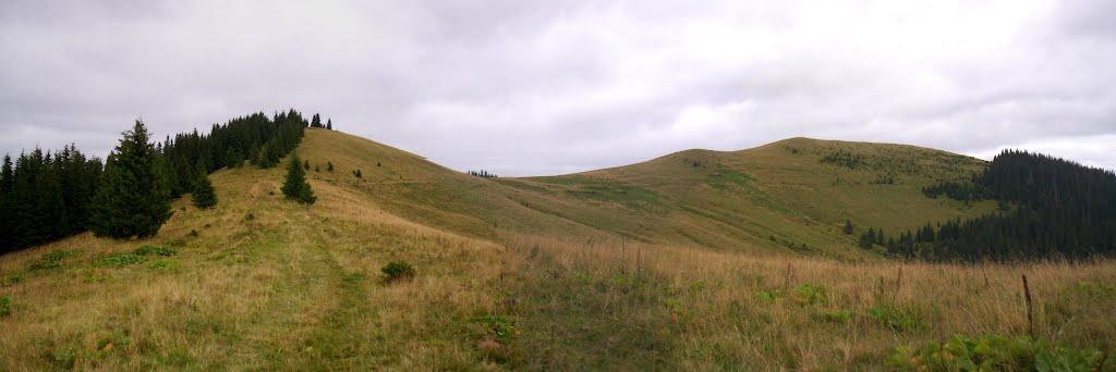 Стебний з panoramio.com - Стебний