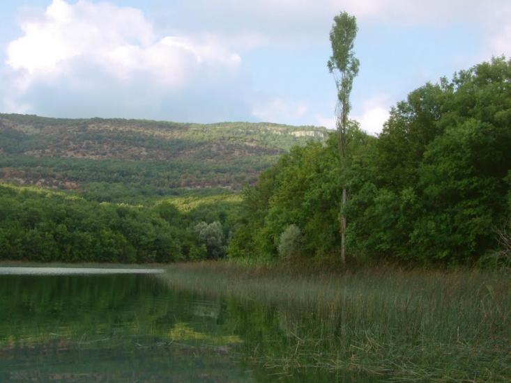Новобобрівське з panoramio.com - Новобобровское