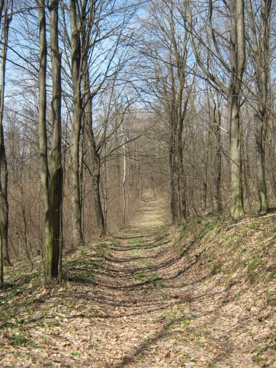 Пилипи з panoramio.com - Пилипы