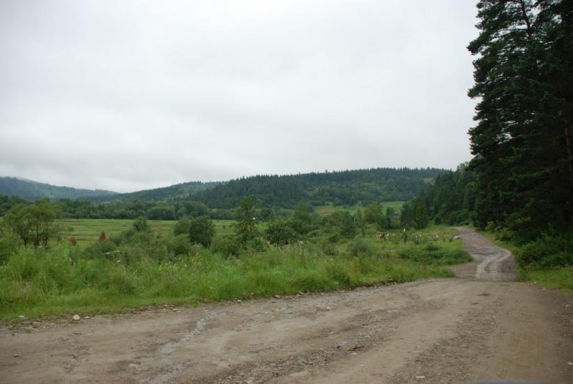 Підсухе з panoramio.com - Підсухе