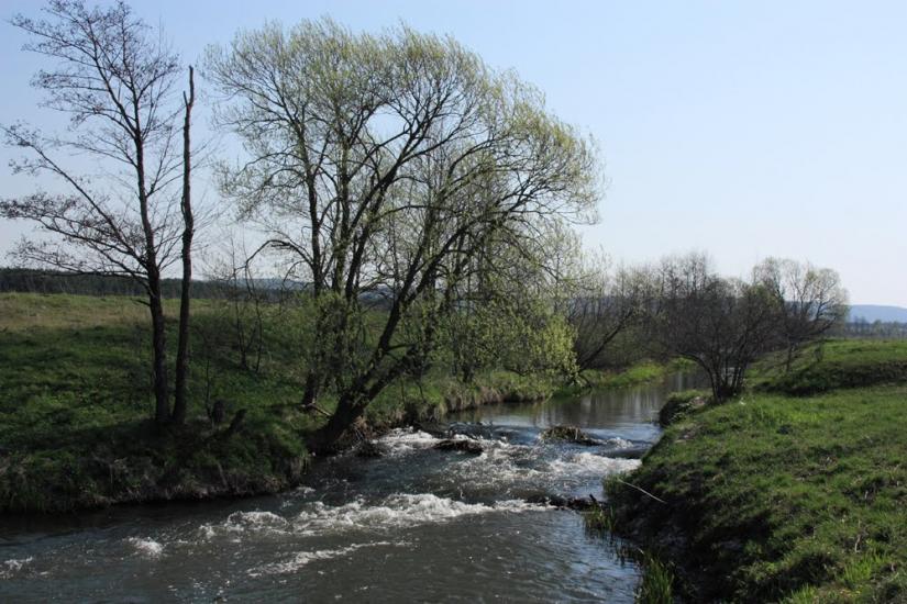 Ушня з panoramio.com - Ушня