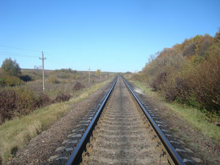 Западинці з panoramio.com - Западинці