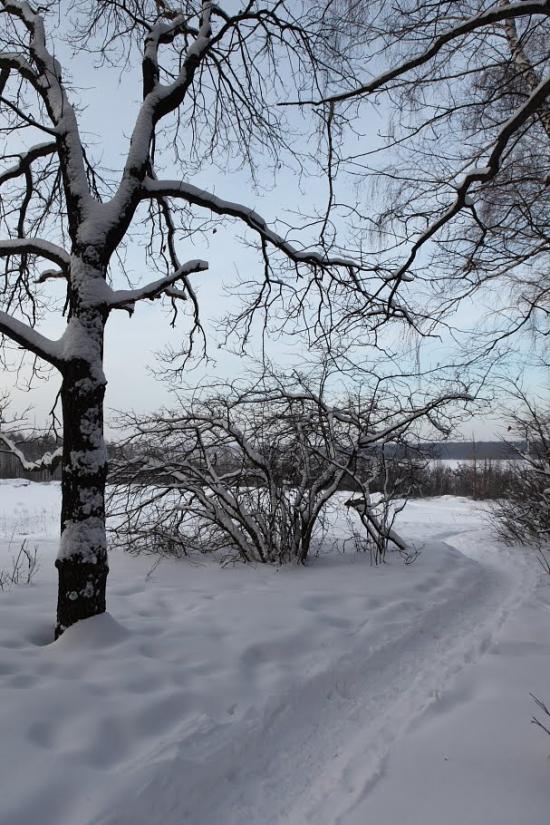 Черкаська Лозова з panoramio.com - Черкасская Лозовая