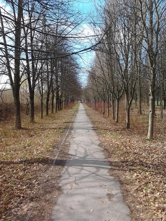 Глеваха з panoramio.com - Глеваха