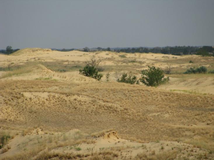 Великі Копані з panoramio.com - Великие Копани