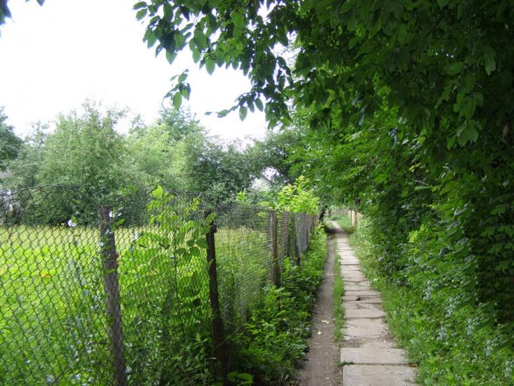 Сатанівка з panoramio.com - Сатановка