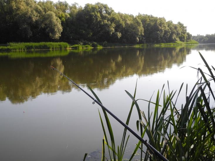 Пархоменко з panoramio.com - Пархоменко