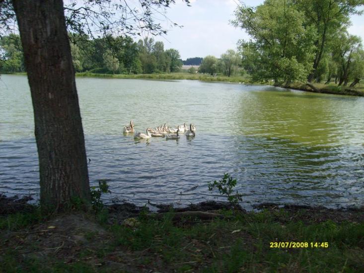 Слоут з panoramio.com - Слоут